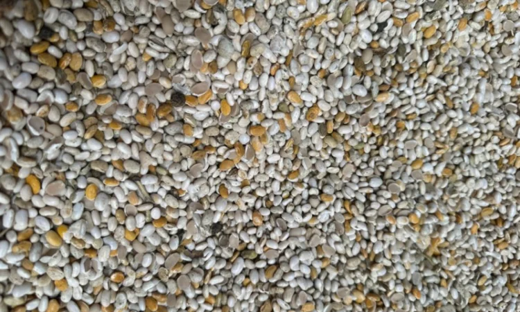 Продам половинку фасоли - фото № 5