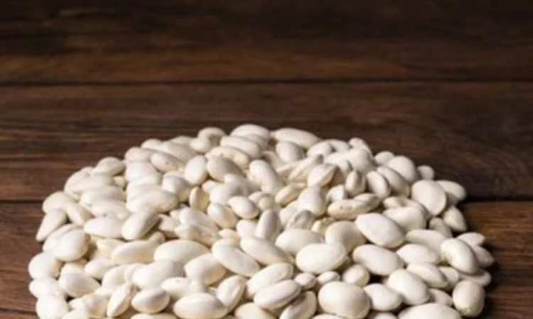 Закуповуємо квасолю білу - фото № 1