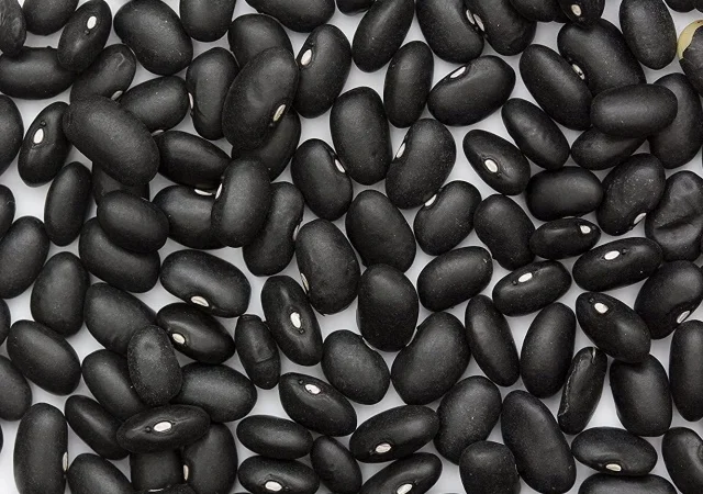 Реалізуємо сортову квасолю від 5 тонн - фото № 1