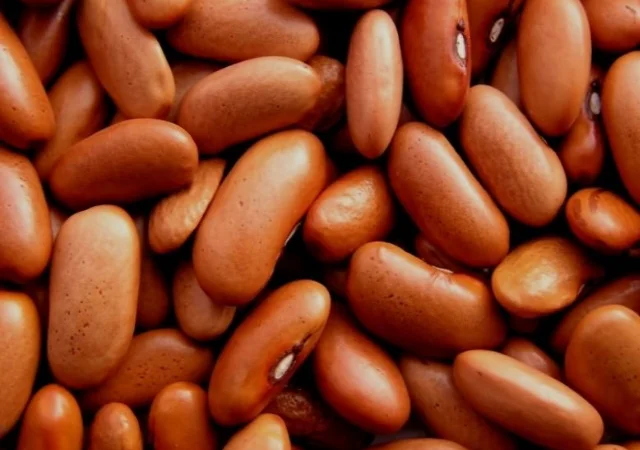 Реалізуємо квасолю від 5 тонн (20 сортів в асортименті) - фото № 1