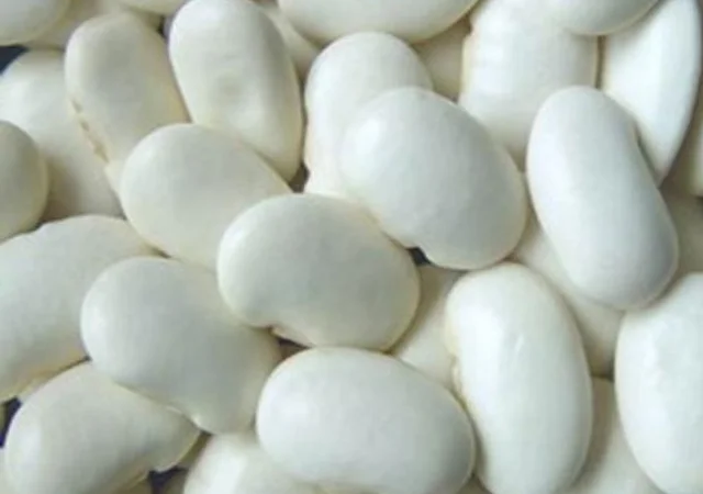 Продаємо квасолю. Більше 20 сортів в асортименті - фото № 1