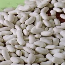 Посівний матеріал дрібної білої квасолі - фото № 1