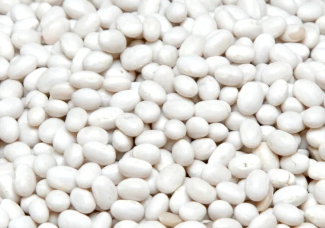 Продаж квасолі. Продам квасолю. Купити квасолю - фото № 1