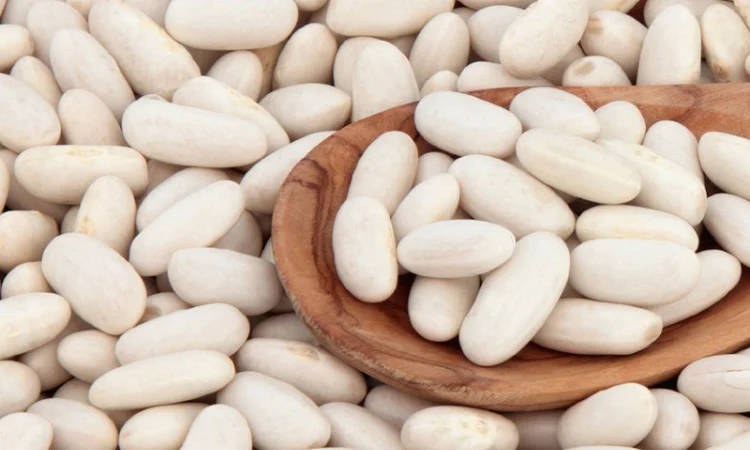 Продам високоякісну квасолю різних сортів - фото № 1