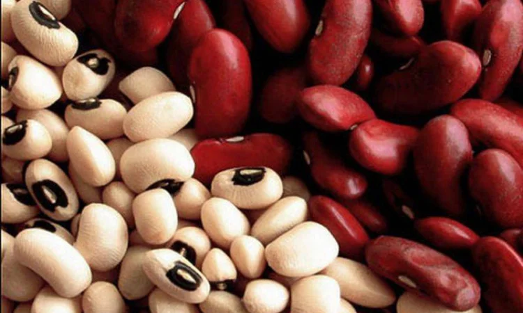 Закуповуємо квасолю білу - фото № 1