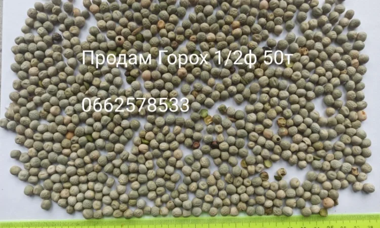 Продажа зерна: отходы и мучка - фото № 4