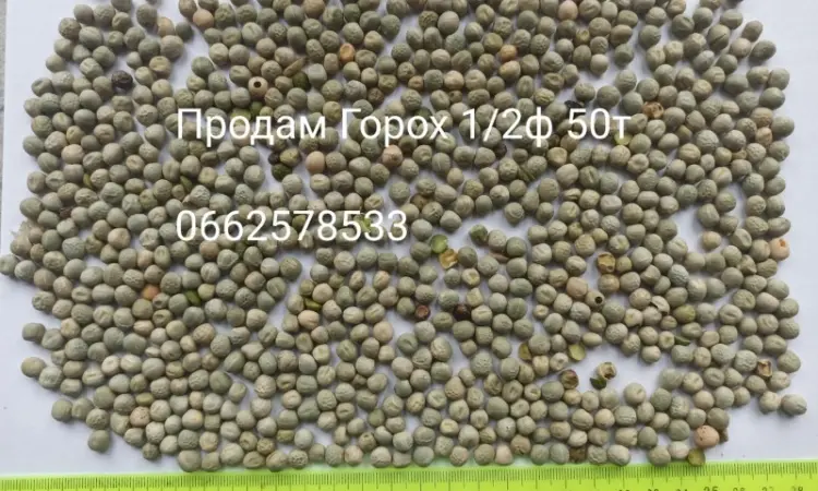Продам зерно відходи - фото № 4