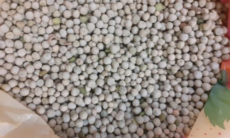 Продам горох - фото № 2