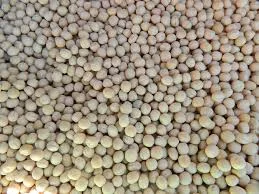 Горох Мадонна элита - фото № 1