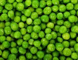 Горох Зекон семена гороха 1реп - фото № 1