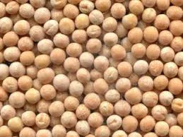 Семена желтого гороха сорт Девиз элита, 1 репродукция - фото № 1