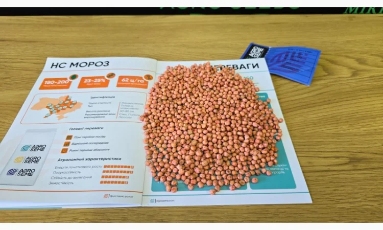 Озимый горох "НС Мороз" - высокоурожайный сорт - фото № 2