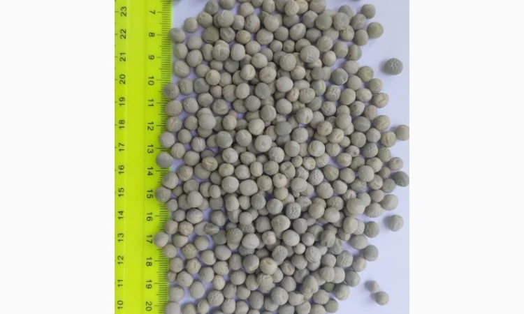 Горох зеленый, 150 тонн в наличии - фото № 1