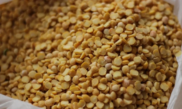 Продажа гороха от поставщика, объем 110 тонн - фото № 5