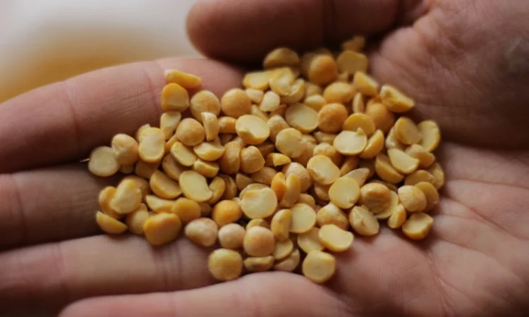 Продам горох. Від постачальника з 100 тонн - фото № 3