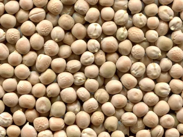 Закупаем жёлтый горох - фото № 1