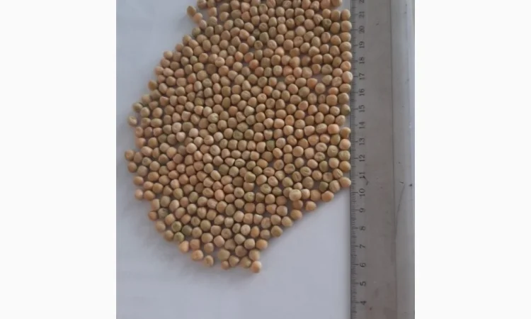 Горох "Есо" 2р з ПДВ - фото № 1