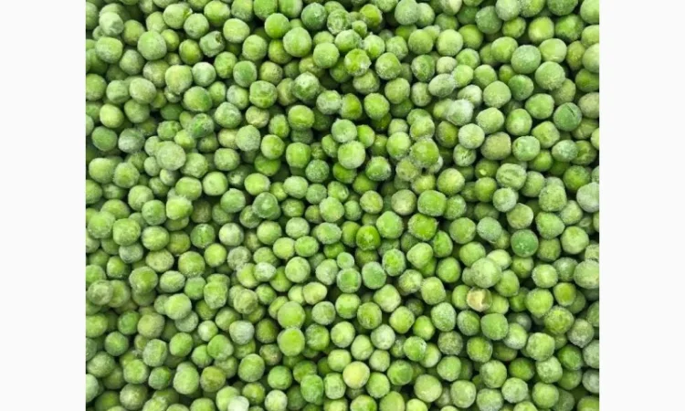 Компанія переробник купить горох, жовтий та зелений ДОРОГО - фото № 1