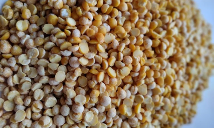 Горох колотий жовтий від виробника - фото № 2