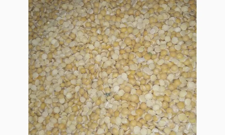 Горох жовтий половинки – продаж - фото № 1