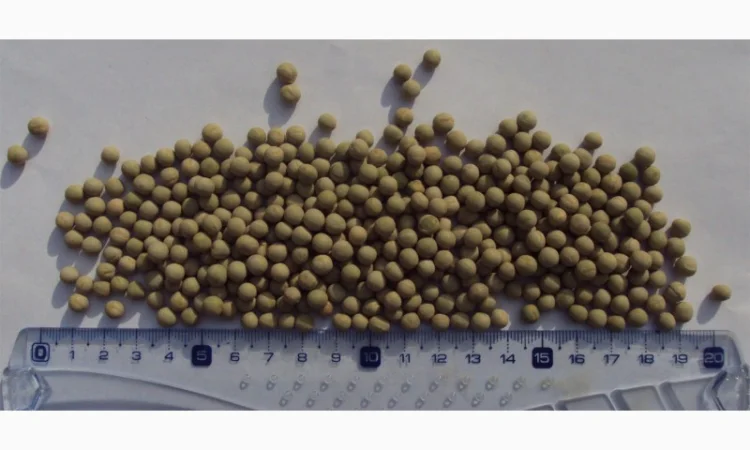 Зеленый горох и нут из Аргентины - фото № 2