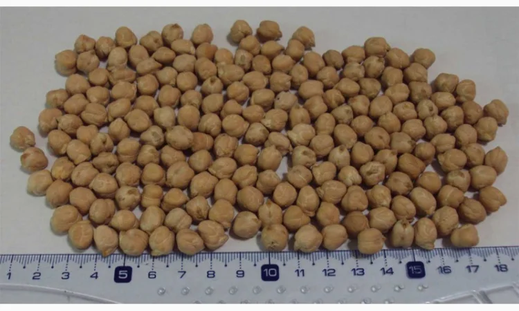 Зеленый горох и нут из Аргентины - фото № 3