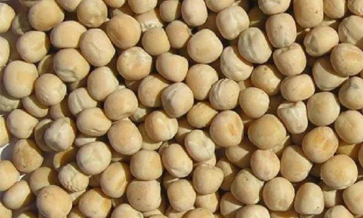 Закупка зернового гороха - фото № 1