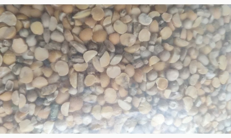 Горох позакласний - відходи горохові - фото № 1