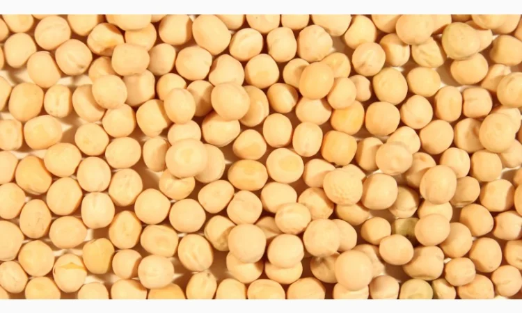 Закупаем жёлтый горох - фото № 1
