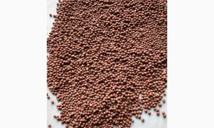 Купуємо горох Пелюшка - фото № 1