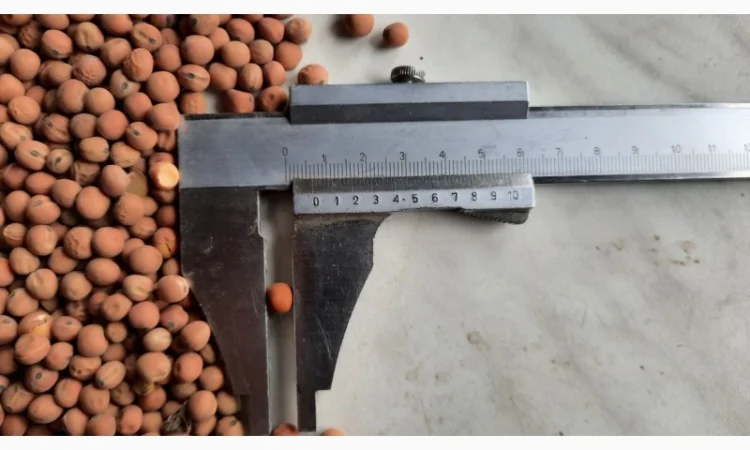 Купуємо горох Пелюшка - фото № 2