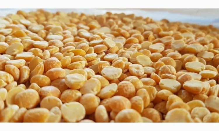 Куплю горох некондиционный - фото № 1