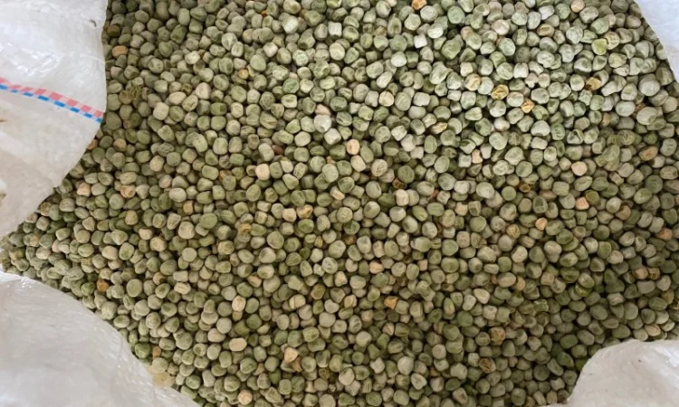 Продается семена сахарного гороха - фото № 1