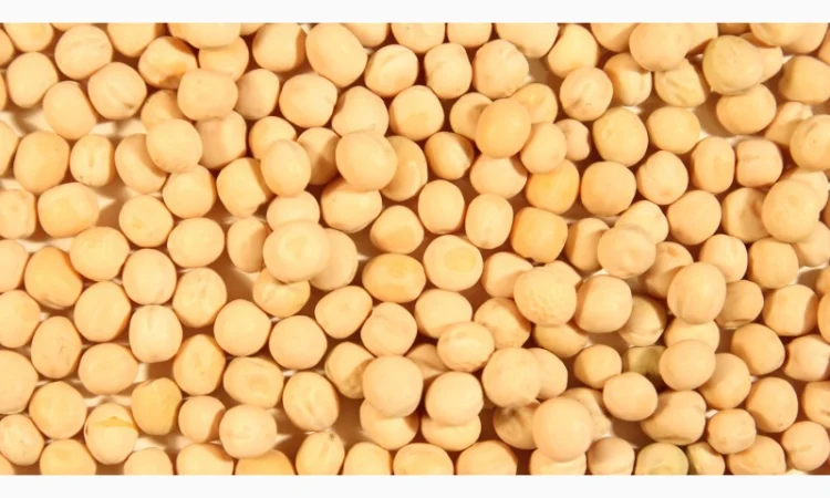 Покупаем жёлтый горох - фото № 1