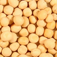 Горох желтый - фото № 2