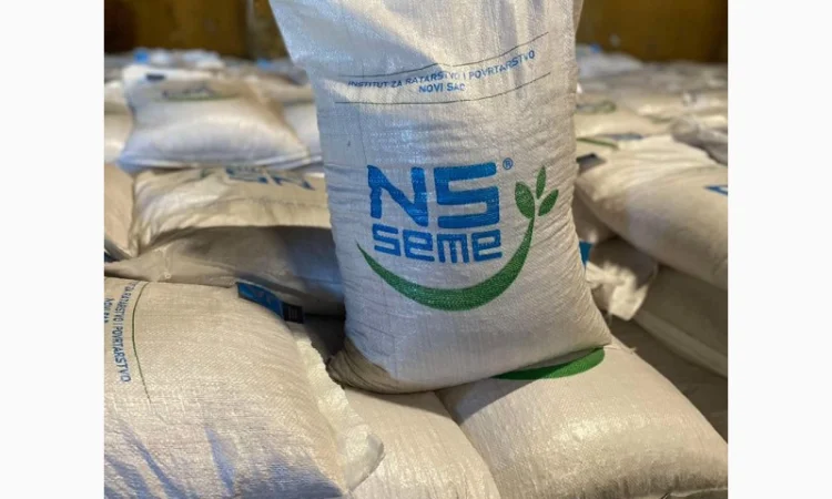 Семена озимого гороха НС Мороз 1 репродукция - фото № 2