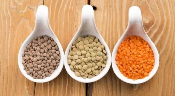 Сочевиця харчова сорт CDC Реджина CL* Канадська - фото № 1