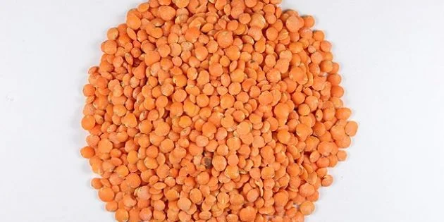 Сочевиця Червона - фото № 1