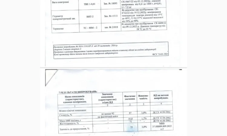 Насіння Червоної Сочевиці MAXIM - фото № 1