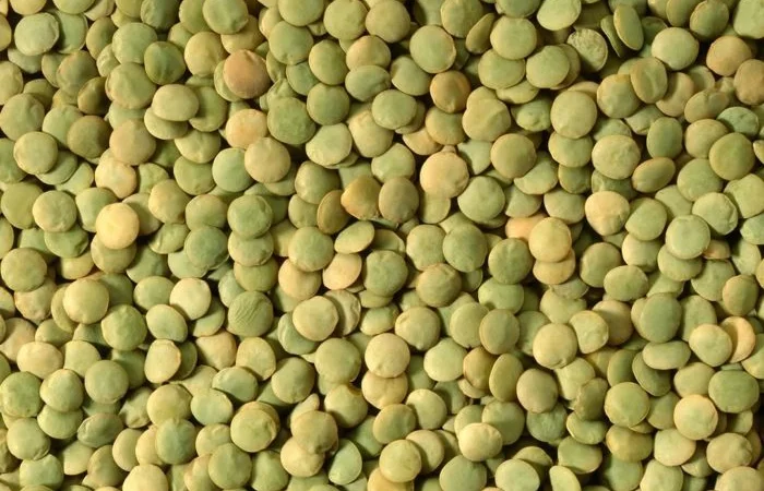 Чечевица, сочевиця, lentils от производителя 2024 - фото № 1