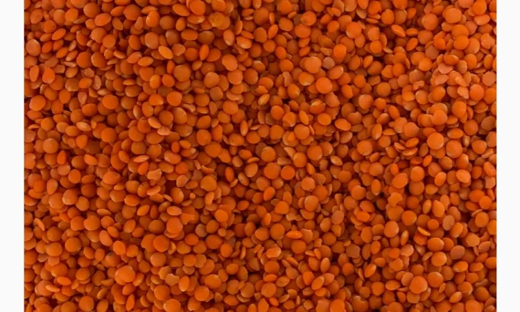 Сочевиця (ОПТ від 5 т, ціна за 1 кг) - фото № 1