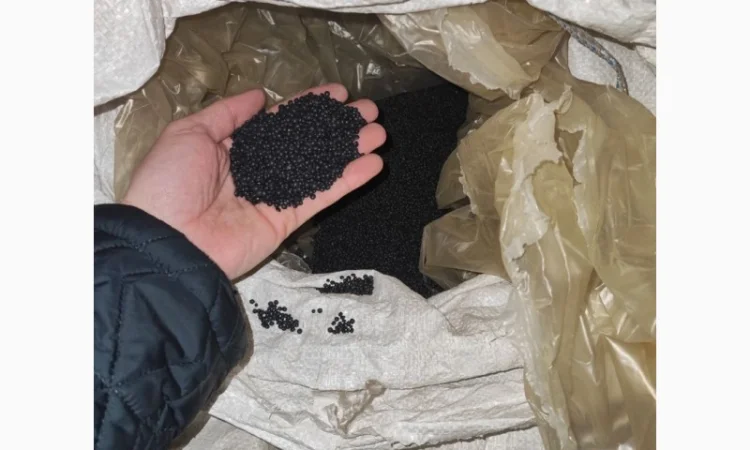 Насіння сочевиці (білуга чорна) - фото № 2