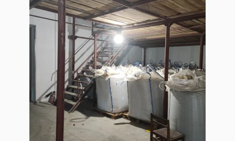 Насіння сочевиці (білуга чорна) - фото № 7