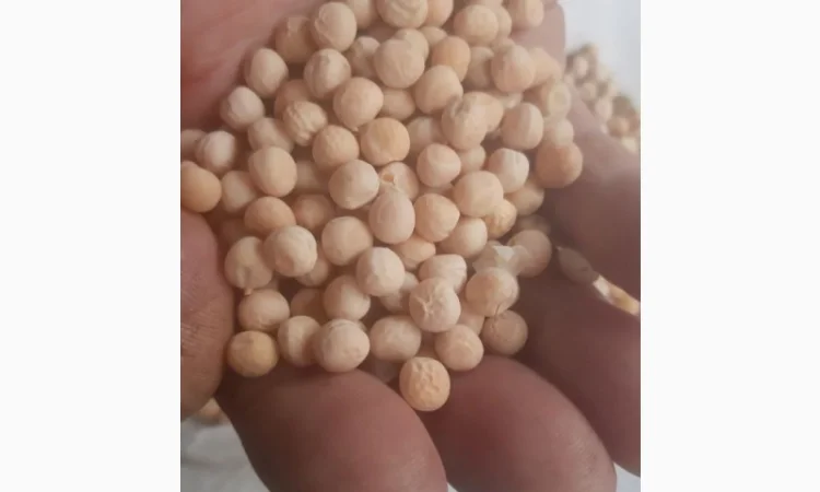 Закупка зерновых в Полтаве - фото № 1