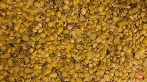 Закупка половинок сои на выгодных условиях - фото № 1