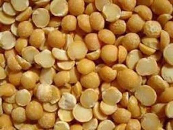 Закуповую половинки сої та зерновідходи кукурудзи - фото № 1