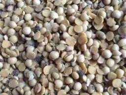 Куплю половинки сої - фото № 1