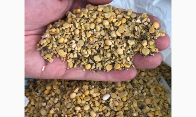 Куплю з самовивозом половинки сої - фото № 1