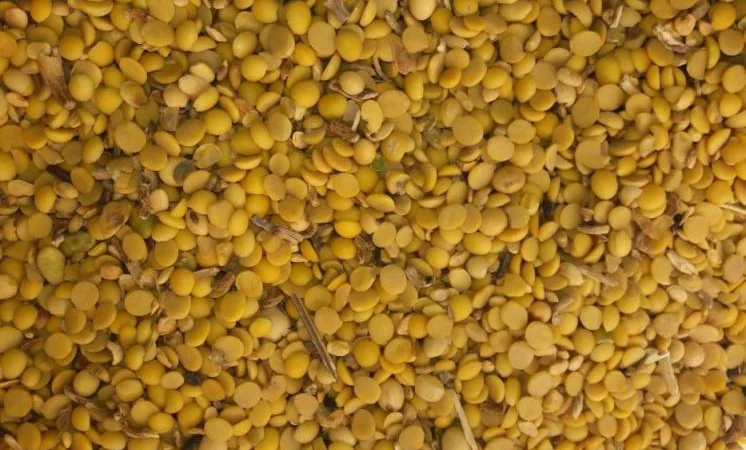 Закуповую зерновідходи кукурудзи та половинки сої - фото № 1