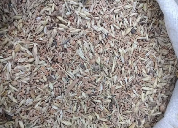 Закуповуємо некондицію, зерновідходи, зернові та бобові культури - фото № 1